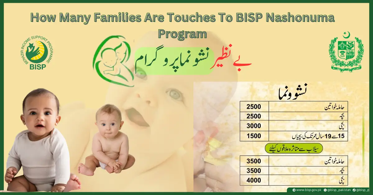 How Many Families Are Touches to BISP Nashonuma Programme