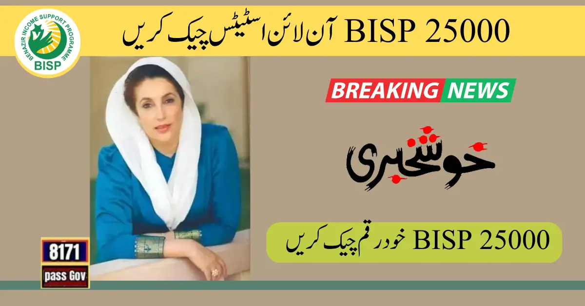 8171 BISP 25000 Check Online Status With CNIC 2024